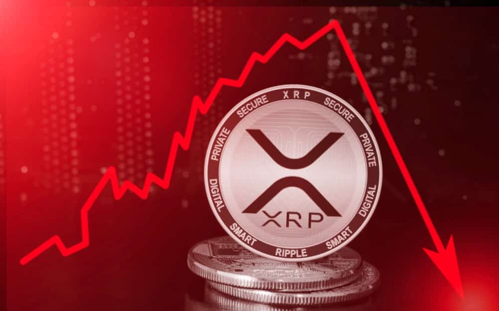 tp钱包狗狗币主网_狗币钱包app_钱包狗狗币