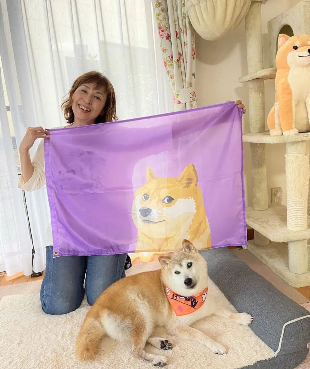 钱包买什么颜色好招财女士_钱包买什么颜色的好女_tp钱包怎么买babydoge
