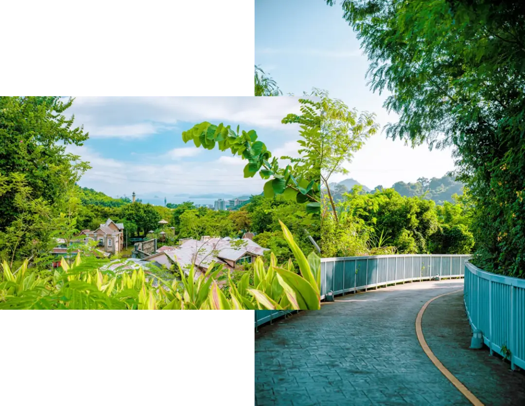tp钱包转币安钱包_钱包币怎么转到交易所_钱包转币到交易所要多少费用