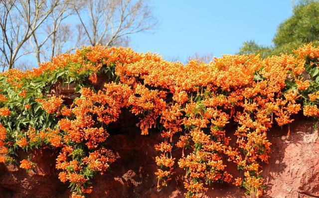 钱包转币到交易所要多久_tp钱包转到火币_钱包转币到交易所要多少费用