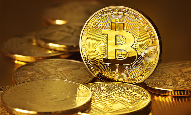 bitpay钱包下载_钱包下载官方最新版本安卓_钱包下载地址