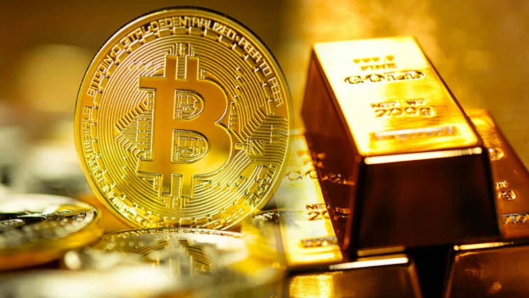 tp钱包法币交易终止了吗_币种交易暂停_币交易暂停是什么意思