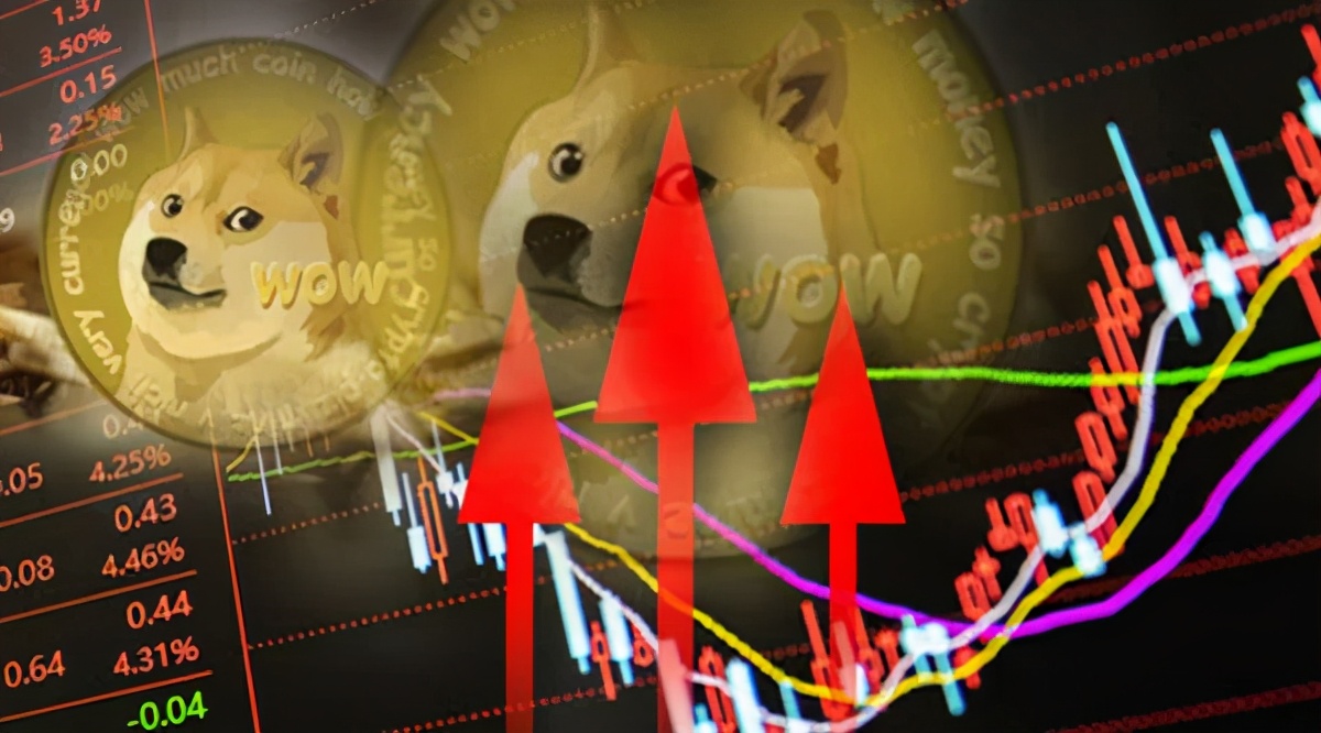 狗狗币提tp钱包选哪个链_tp钱包不支持狗狗币吗_狗狗币钱包dogecoin