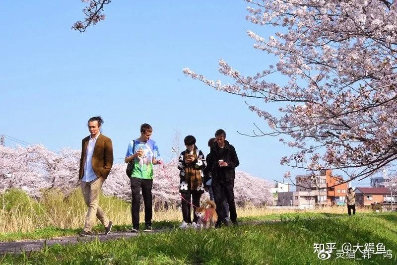 狗狗币专用钱包_狗狗币 tp钱包_狗狗币的钱包