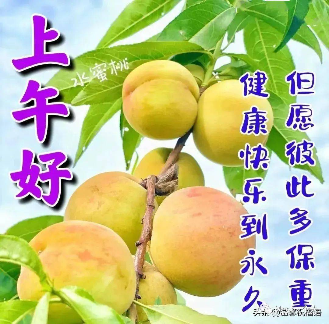 tp钱包不能用了吗_钱包能用红色吗_钱包能用绿色吗