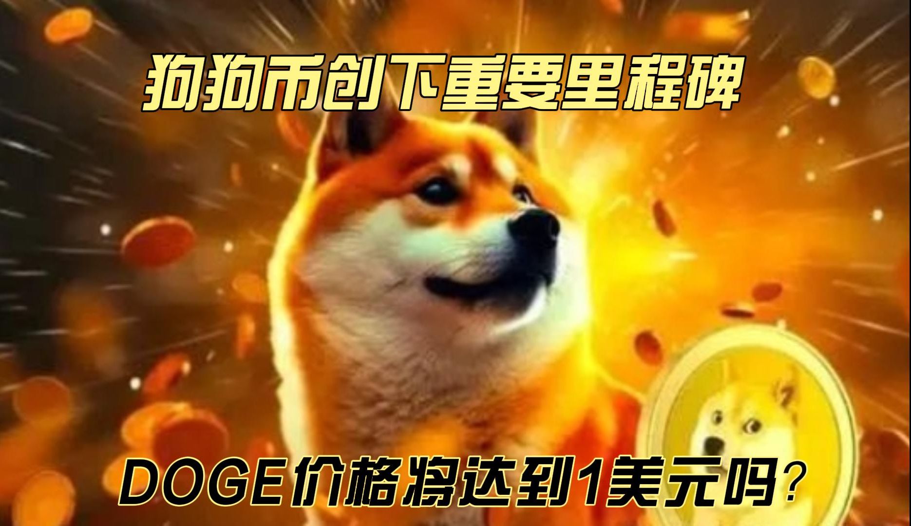 分红币有哪些_tp钱包doge有分红吗_分红币的收益哪个好