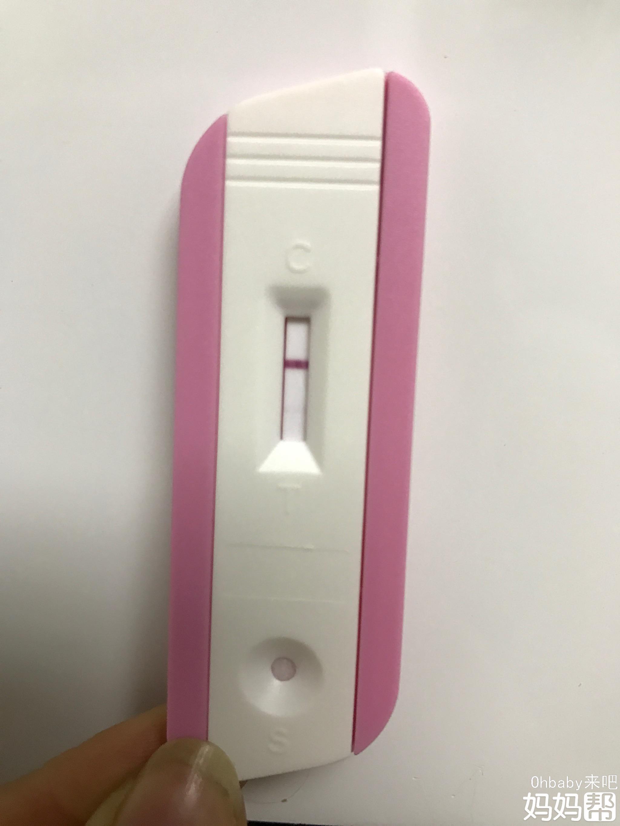 钱包买什么色旺财_tp钱包怎么买babydoge_钱包买什么颜色好招财女士
