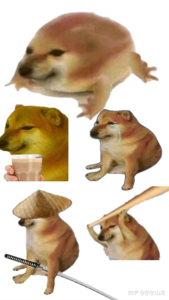 tp钱包买babydoge_钱包买粉色的聚财吗_钱包买什么色旺财