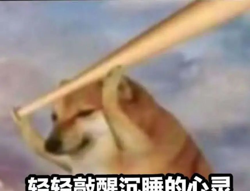 tp钱包买babydoge_钱包买粉色的聚财吗_钱包买什么色旺财