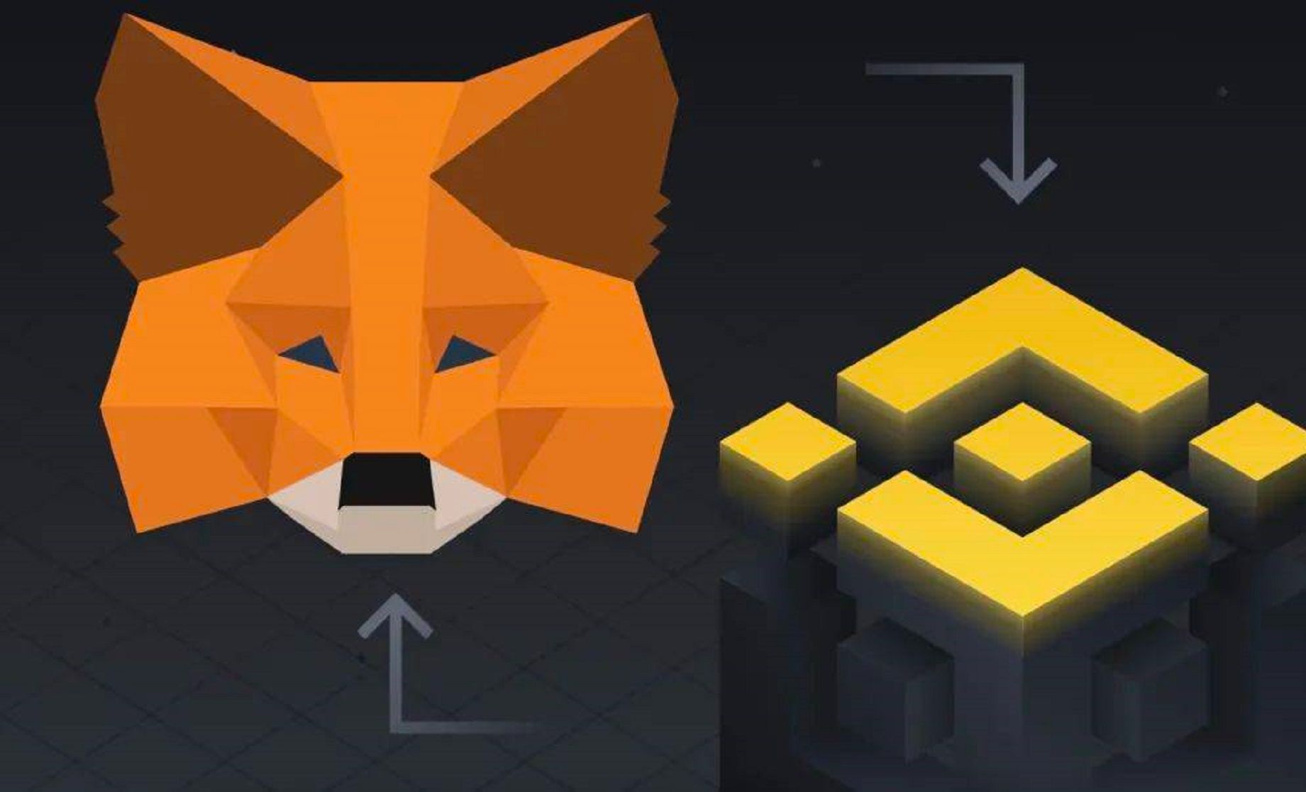 钱包助记词词库_钱包助记词表_TP钱包助记词