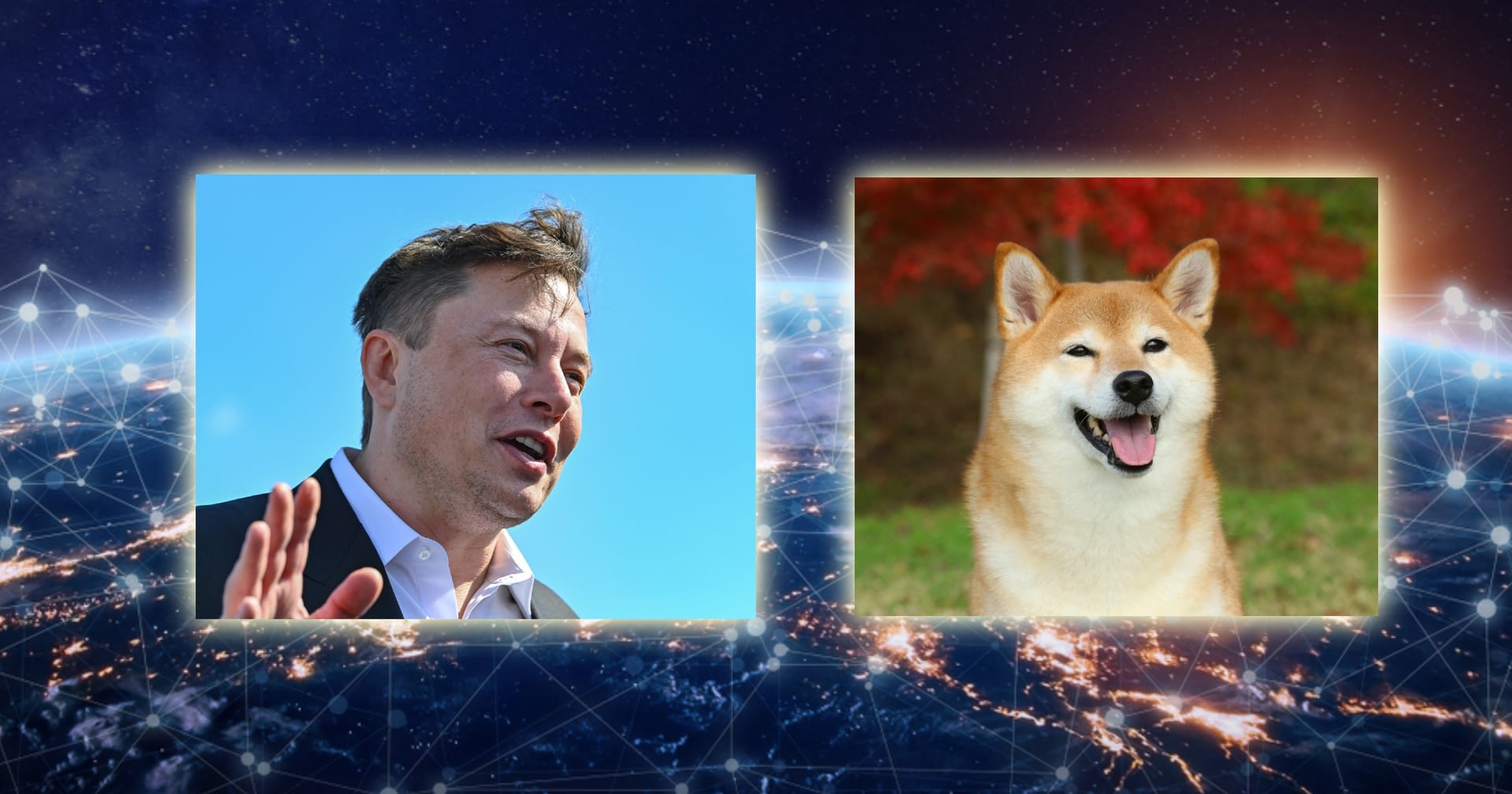 dogecoin钱包_dogecoin_tp钱包 dogecoin