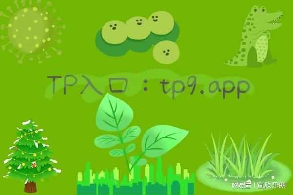 tp钱包下载不了_tpay钱包下载_tp钱包下载安装