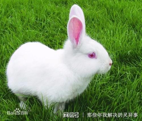 tp钱包买币错误_买币的钱包_钱包转错币种