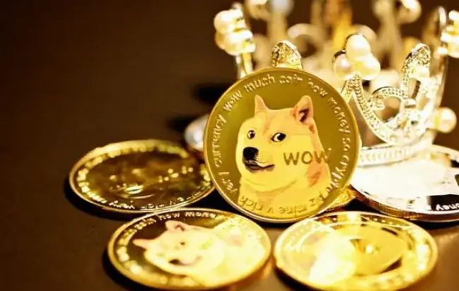 钱包狗狗币_狗狗币钱包dogecoin_tp钱包 狗狗币