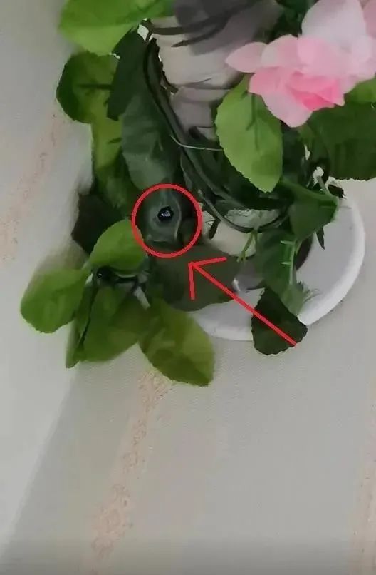 tp钱包波场链怎么卖币_币链app_tp钱包币安链转波场链
