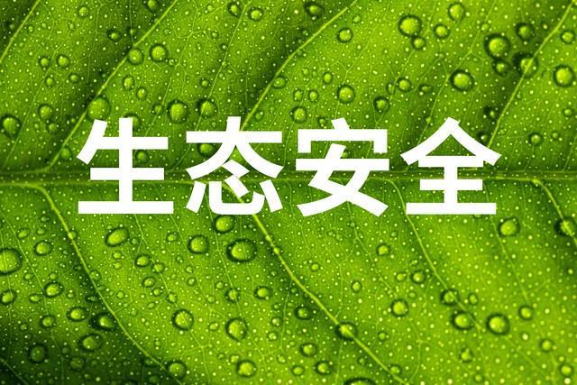 tp钱包不安全吗谁创造的_钱包的安全性_钱包创新