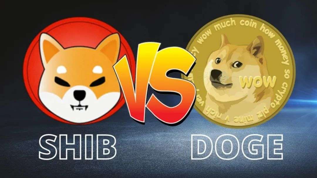 狗狗币转tp钱包_狗币提到tp钱包_狗币提取怎么没到钱包