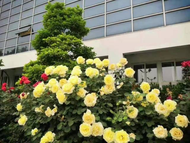 钱包商家官方客服电话_钱包金服客服人工服务_tp钱包在线客服在哪