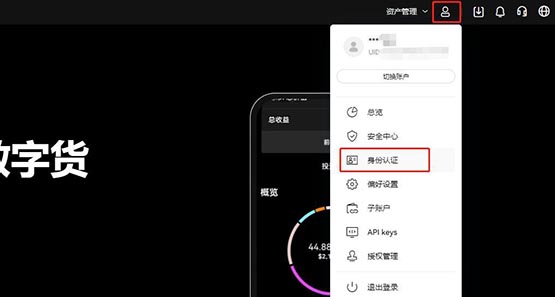 钱包买币是什么意思_tp钱包ok链怎么买币_blockchain钱包