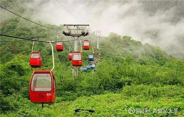 套路诈骗怎么报警_tp钱包被骗套路_急用钱包诈骗