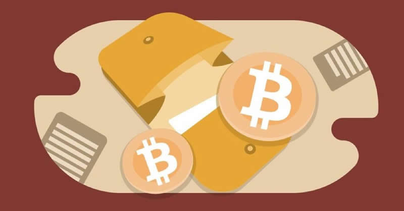 tp钱包k线在哪看_tp钱包在哪里看k线图_钱包图解