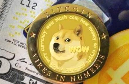 狗狗币钱包dogecoin_tp钱包不支持狗狗币_狗狗币提tp钱包选哪个链