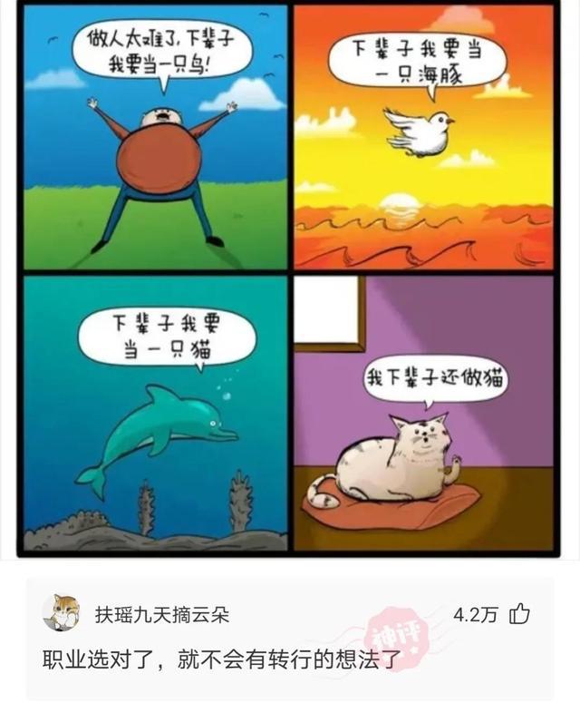 钱包警告表情包_钱包安全_tp钱包提示危险