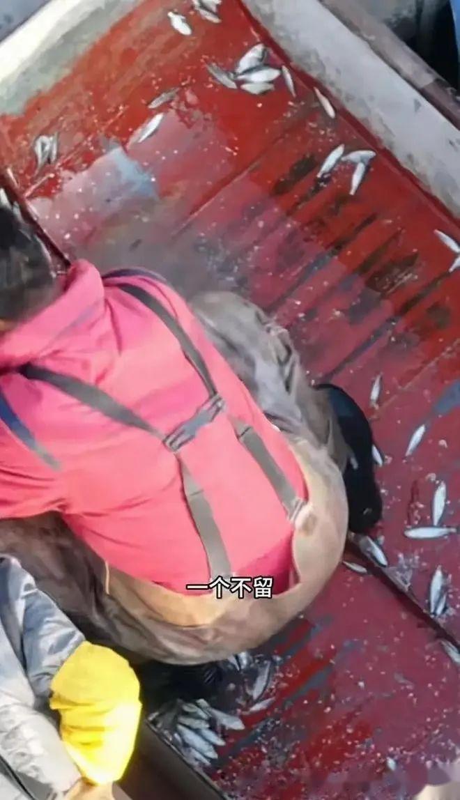 tp钱包被骗能看到id吗_钱被骗知道对方账户_被骗的钱流向能查到吗