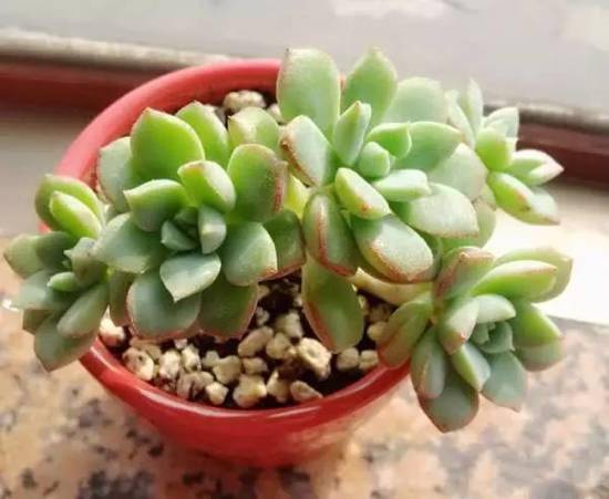 怎样找回钱包助记词_如何找回钱包密码_tp钱包助记词忘了怎么找回