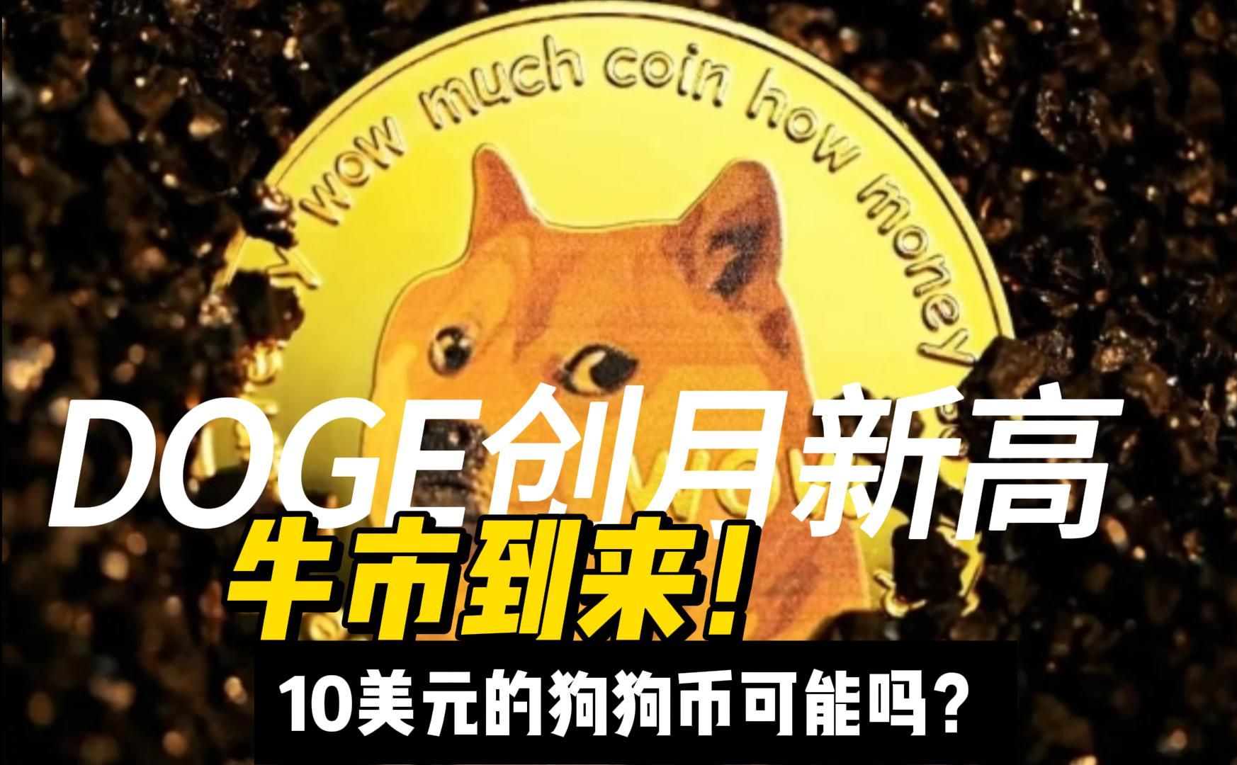 tp钱包doge_钱包英语_钱包app门禁卡