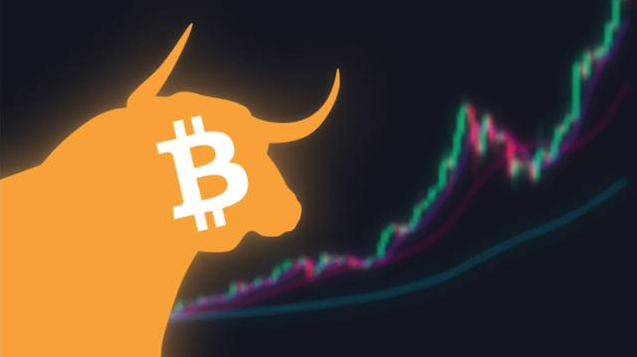 tp钱包发币流程_钱包币怎么提到交易所_币钱包怎么使用交易