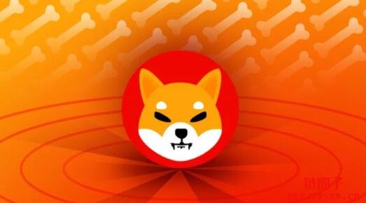 tp钱包 doge_钱包英语_钱包app门禁卡