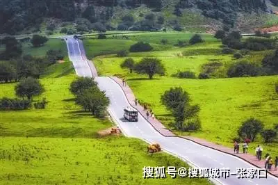 怎么绑定钱包地址_tp钱包怎么添加钱包地址_钱包地址怎么用