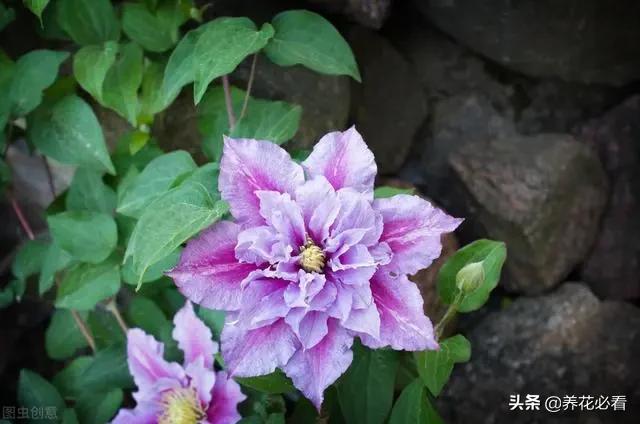 tp钱包安装显示应用风险_安装包存在风险_安装应用风险提示
