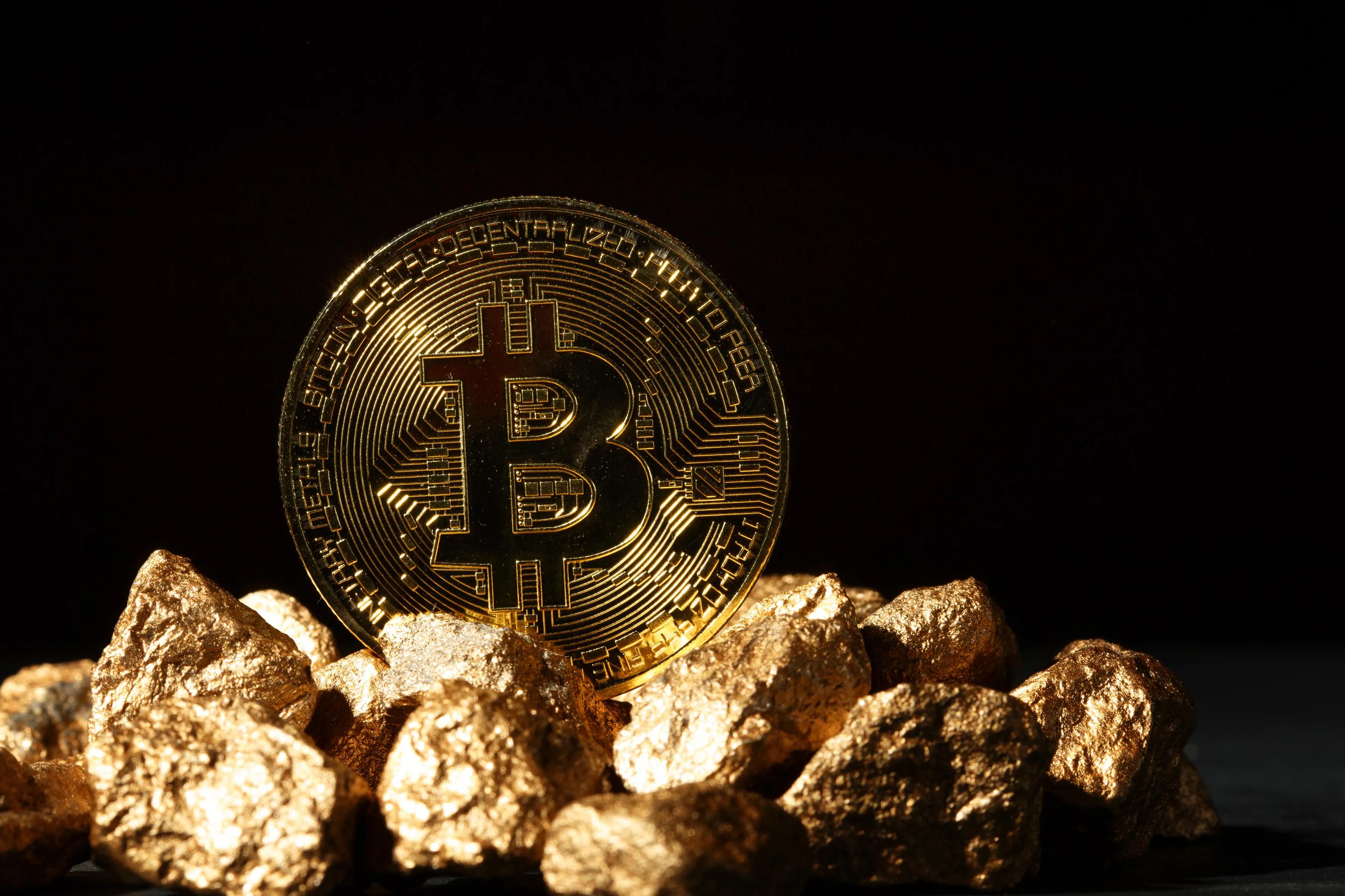 狗狗币tp钱包_tp钱包支持狗狗币_狗狗币提tp钱包选哪个链
