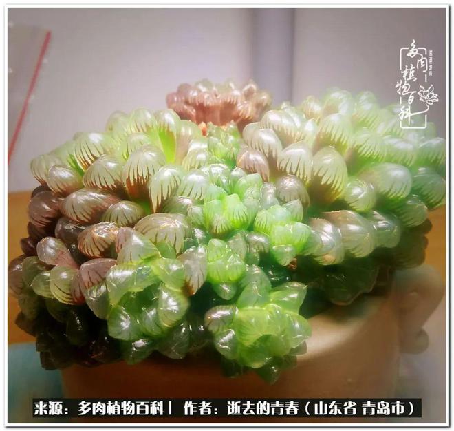 tp钱包找不到_tp钱包没有发现_tp钱包没有钱包同步