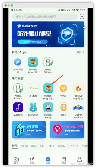 tp钱包怎么换节点_钱包节点设置_chia钱包节点