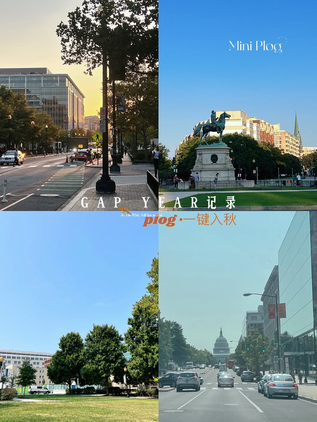 金钱包是真的吗_tp钱包链接不上金金狗_金钱包app