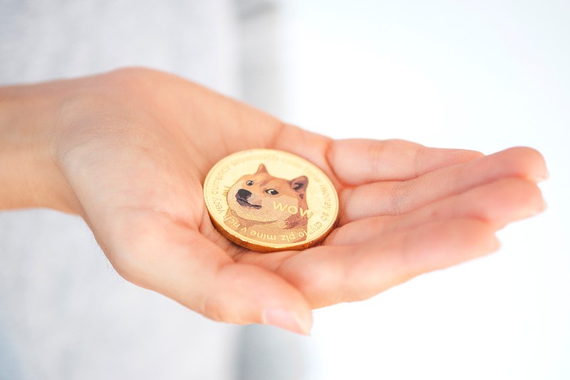 钱包英语_tp钱包 doge_钱包怎么折