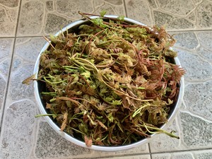波包钱包_钱包转币一定要手续费吗_tp钱包波场转币安