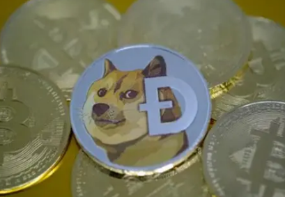 dogecoin狗狗币钱包_tp钱包 狗狗币网络_狗币钱包app