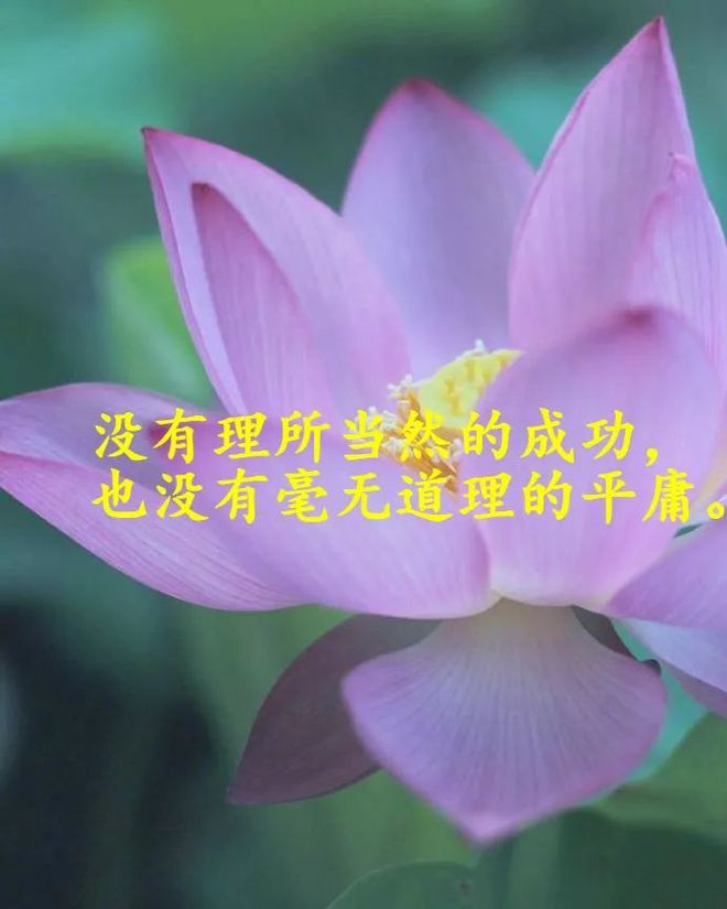 微信钱包平台客服电话_微信钱包客服_tp钱包客服微信