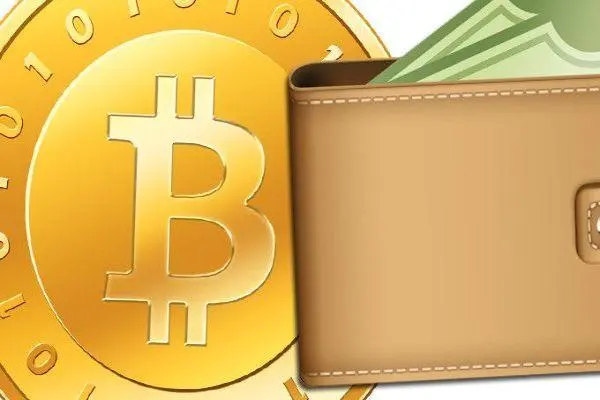 tp钱包里的币_钱包里btc图片_币的钱包是什么意思