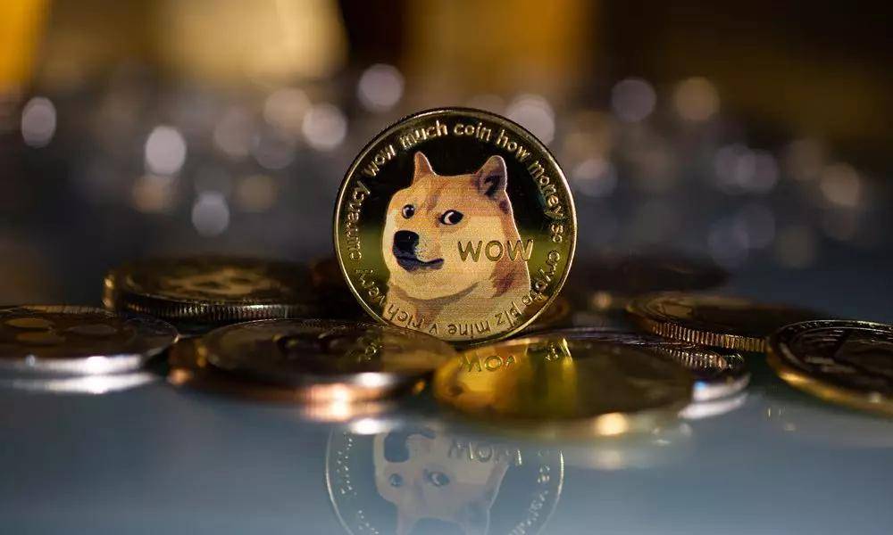 狗狗币提到tp钱包_钱包狗狗币_狗狗币钱包dogecoin