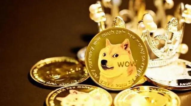 狗狗币钱包dogecoin_钱包狗狗币_狗狗币提到tp钱包