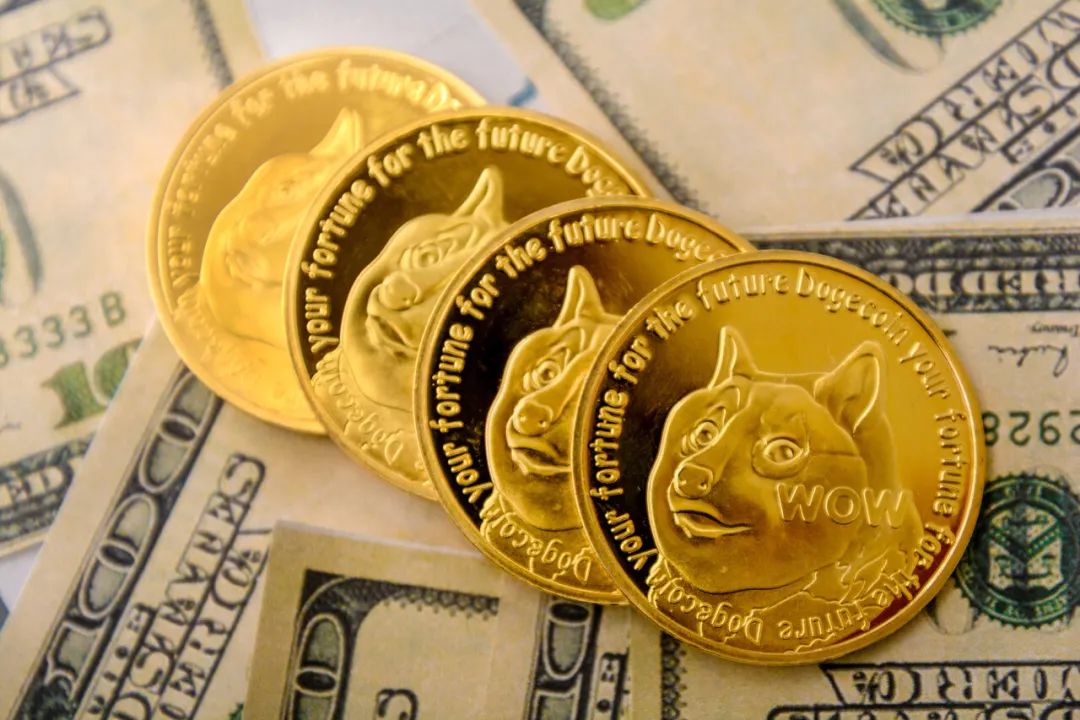 狗狗币提到tp钱包_狗狗币钱包dogecoin_钱包狗狗币