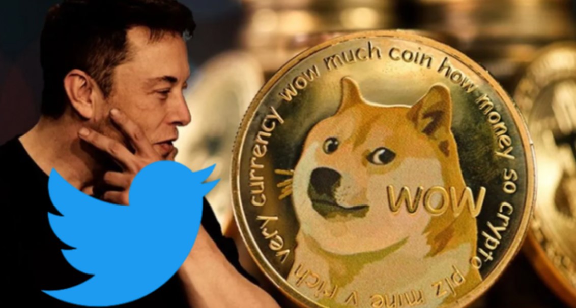 钱包狗狗币_狗狗币提到tp钱包_狗狗币钱包dogecoin