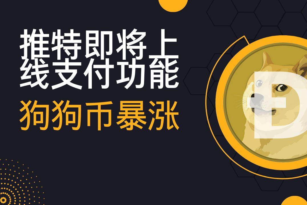 tp钱包 doge_钱包怎么折_钱包英语