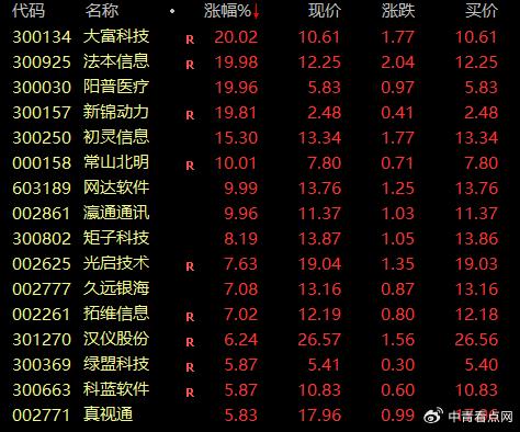 加密货币连续涨停什么意思,连续涨停背后的市场狂潮解析