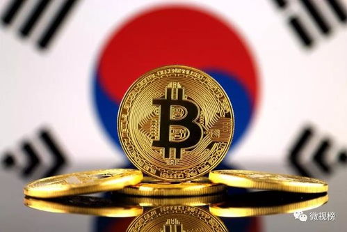 加密货币的真实表现是指,主流币种表现与展望